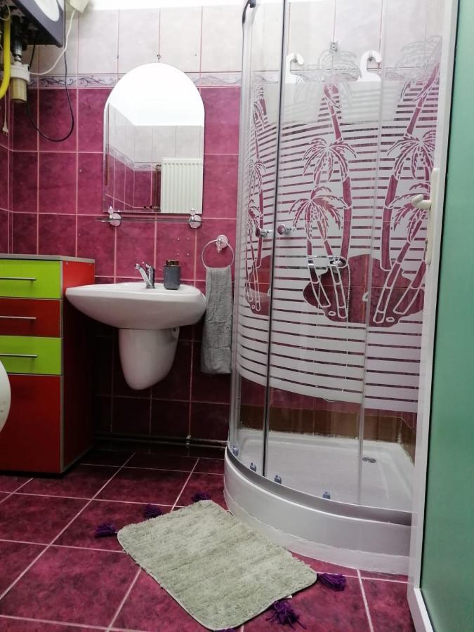 Appartamento Apartament Josefin Timisoara Esterno foto